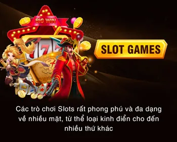 Hỗ trợ khách hàng VVWIN
